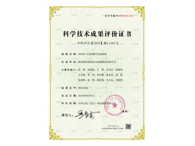 勝動集團公司20V190 大功率燃氣發電機組通過國際先進水平鑒定