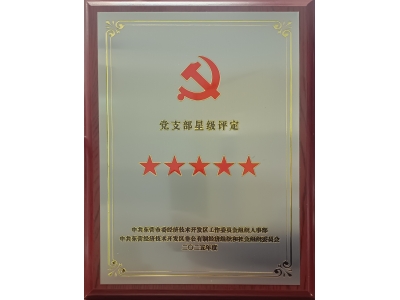 雙星閃耀映初心 黨建引領(lǐng)強發(fā)展&mdash;&mdash;勝動集團兩黨支部同獲五星級殊榮